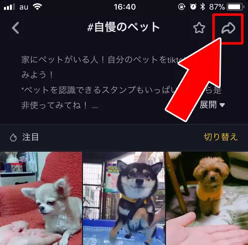 動画だけでなく検索結果画面もリンクを送れる-TikTokの動画をPCで見る方法|TikTokをPC(パソコン)で見る方法!動画の拡大や保存などにも使えます
