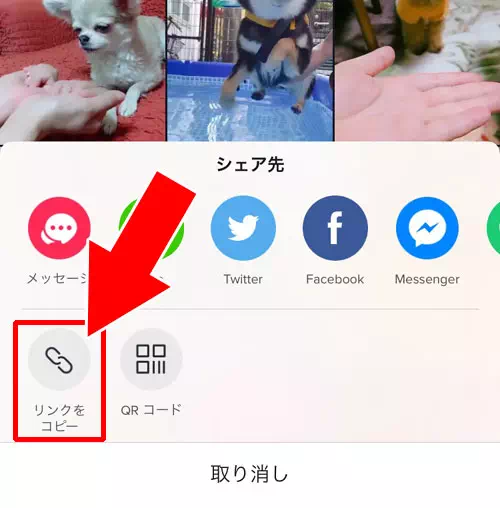 動画だけでなく検索結果画面もリンクを送れる-TikTokの動画をPCで見る方法|TikTokをPC(パソコン)で見る方法!動画の拡大や保存などにも使えます