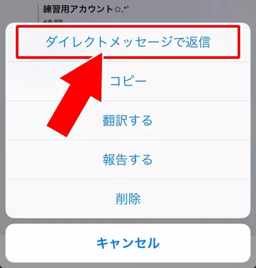 コメントに対してダイレクトメッセージで返信する場合 - コメントに返信する方法｜TikTokでコメント投稿や削除方法！迷惑コメントの対処方法もまとめました