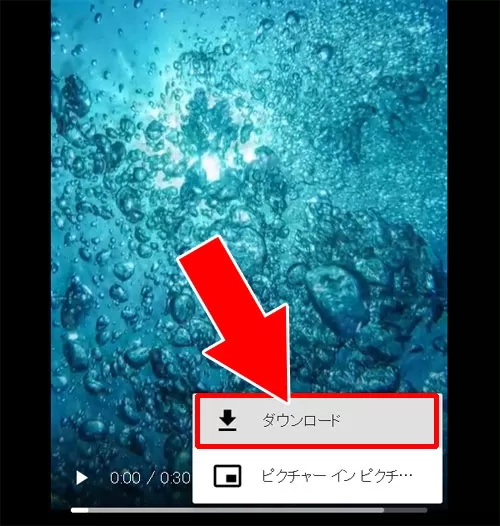 動画をPCに保存(ダウンロード)する|TikTokをPC(パソコン)で見る方法!動画の拡大や保存などにも使えます