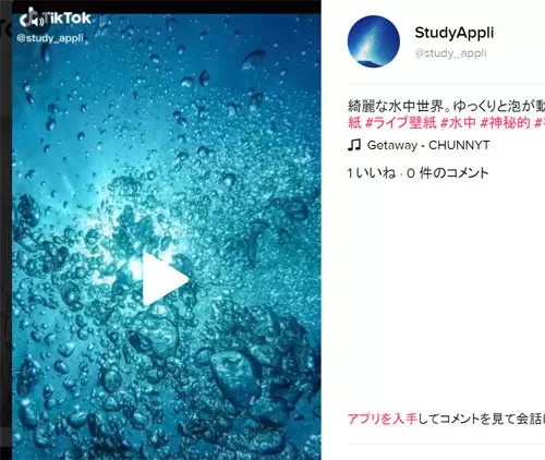 動画を拡大して見る|TikTokをPC(パソコン)で見る方法!動画の拡大や保存などにも使えます
