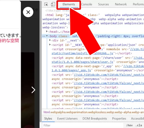 動画を拡大して見る|TikTokをPC(パソコン)で見る方法!動画の拡大や保存などにも使えます