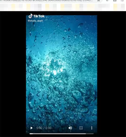 動画を拡大して見る|TikTokをPC(パソコン)で見る方法!動画の拡大や保存などにも使えます
