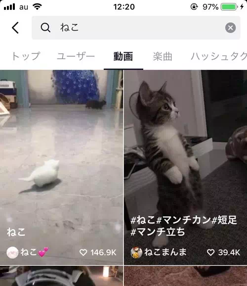 動画 - TikTokでキーワード検索できる項目一覧|TikTokで検索の仕方まとめ!キーワードやカテゴリから検索できます