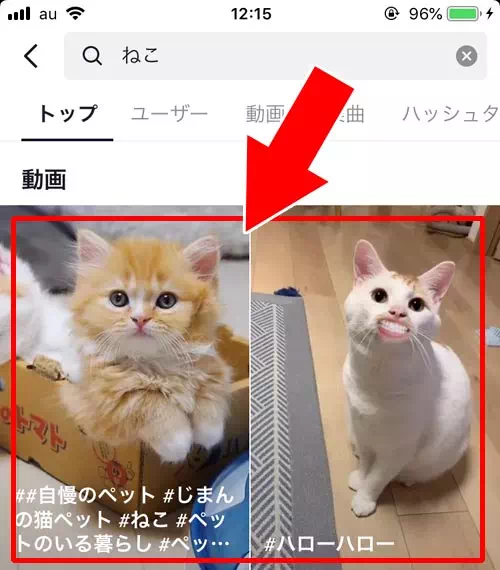キーワードから検索する|TikTokで検索の仕方まとめ!キーワードやカテゴリから検索できます