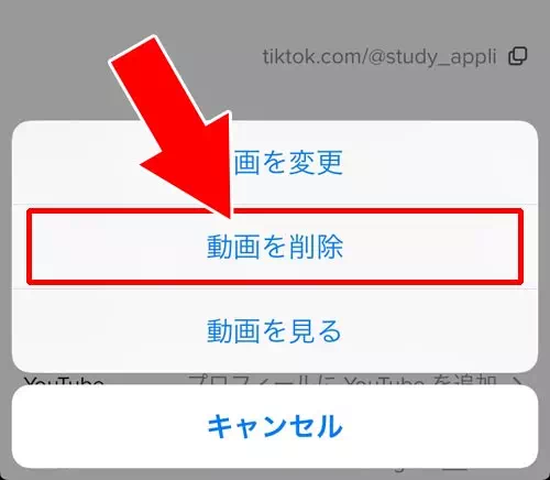 動画から元の画像(静止画)表示に戻す方法|TikTokのプロフィール画像(アイコン)に動画を設定する方法