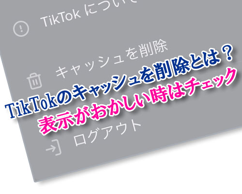 TikTokのキャッシュを削除とは?動画が見れないのはキャッシュが原因かもしれません